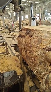 Processing process of wooden materials in wood workshop #wood #diy #reel #short #woodworking #wooder | Tool DIY Video