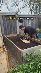 1.6K views · 10K reactions |  ¿Listo para llevar tu baile al siguiente nivel?  @trucos.rapidos.de.baile  es el lugar perfecto para descubrir nuevos movimientos, tips de profesionales y todo lo que necesitas para brillar en la pista. ¡Dale clic y comienza a bailar como siempre has soñado!  @trucos.rapidos.de.baile 磊 #baile #dance #movimiento #danza #aprendeabailar #dancing #tipsdebaile #tutorial #consejosdebaile #música #inspiración #pasión | Huerto orgánico | Facebook