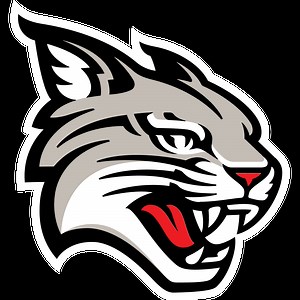 Davidson Wildcats College Basketball Conference Standings