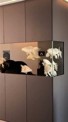 Title: Maximize Luxury with an Integrated Fish Tank Partition