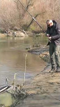 "Vimba Strike Caught on Camera – Wild Hit!" #рибарскавистина #fishing #fishingtechniques #vimba