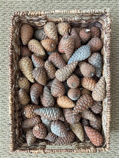 10 Natural Knob Pinecones, Rustic Home Decor, Holiday Crafts, 2.5-4 Inch - Etsy