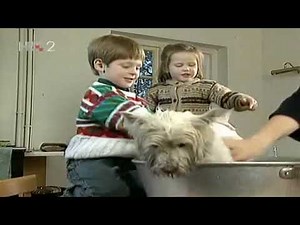 Teletubbies - Kupanje psa