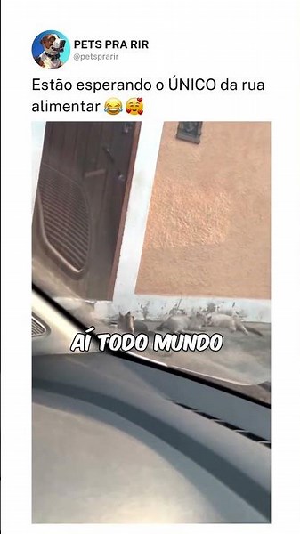 Estão esperando o ÚNICO da rua alimentar ❤️🤣