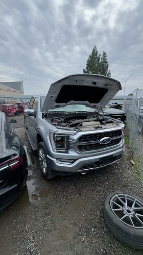 Купил Топляк.. теперь мучаюсь