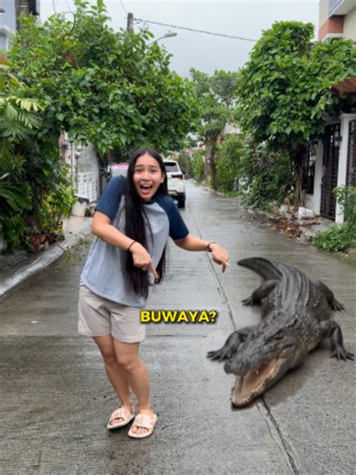 dedliest animal sa buong mundo? 🩸 😱 #lans | animals