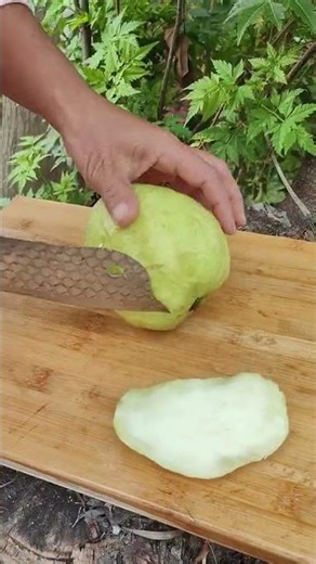 RT 90008514 mini rotary tillage and ridging all#in one 🌲 tree short view #rogator#shorts