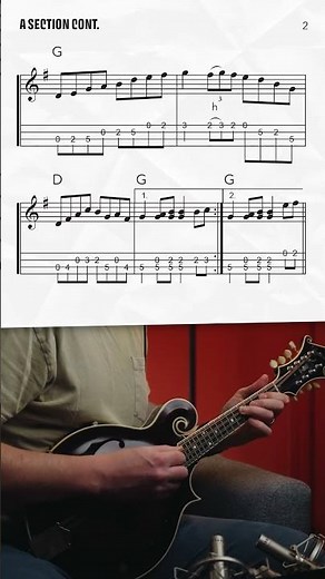 "Hollow Poplar" Mandolin Melody #shorts