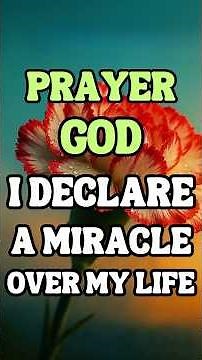 Prayer: God, I Declare a Miracle Over My Life Today | Speak Breakthrough & Blessings