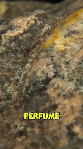 Whale Vomit in Perfume? The Shocking Truth 😳