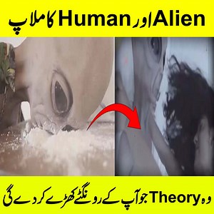 24K views · 1.1K reactions | What Experiments Are NASA Going To Do With Aliens | Urdu Cover | Facebook