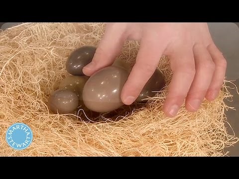 How to Identify Different Types of Bird Eggs - Martha Stewart