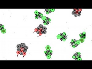 Cell Lab - Team predator vs Speedboost avoider [anti-flock behaviour]