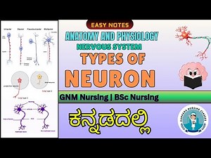 Types Of Neuron In Kannada | Nervous System In Kannada | Anatomy And physiology of Nervous System