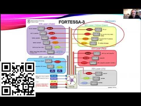 Flow Cytometry Experimental Setup in Diva