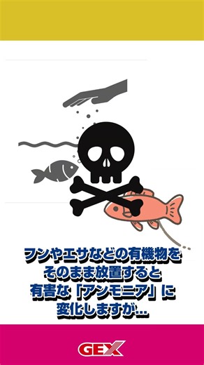 新技術✨なんと、カルキぬきとバクテリアが1本に！「コロラインオフバクテリア」