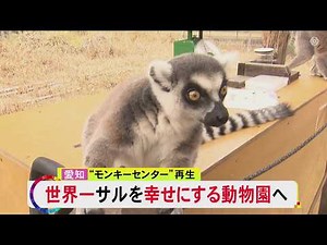 3～4年かけリニューアル…日本モンキーセンターが10月から休園へ「世界一サルを幸せにする動物園」をテーマに再生へ