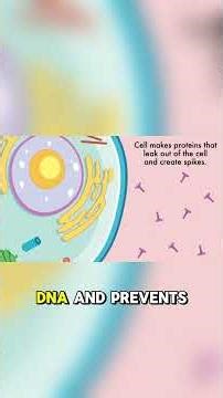 Top 5 Mind Blowing Facts About the Human Body