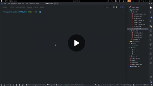 DBMS Bash: Lightweight File-Based Database Management System | Ahmed Bakry posted on the topic | LinkedIn