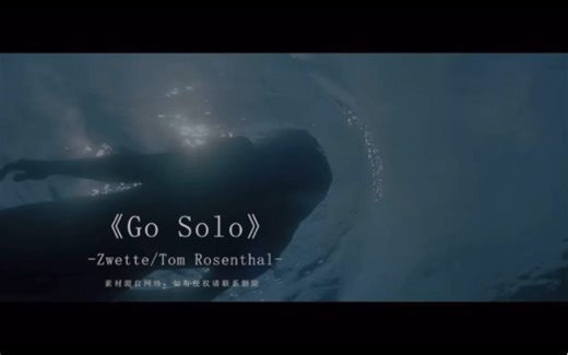 《Go solo》