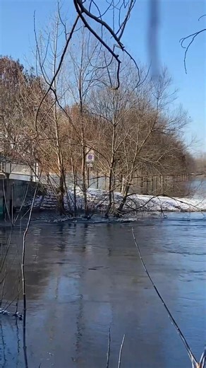 2.1K views · 16 reactions | Das Hochwasser an der Bode in Löderburg geht leicht zurück. Es gibt etwas Entwarnung, aber noch keine richtige Entspannung. | Mitteldeutsche Zeitung | Facebook