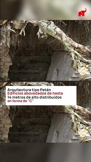 “El Jefeciño”, nuevo sitio maya descubierto: INAH