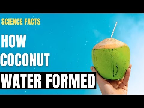 Science Facts: How Coconut Water Formed? What composition it is?