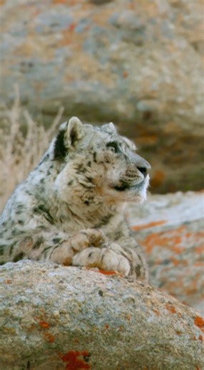 18K views · 345 reactions | Discover the 26 new #BiosphereReserves...