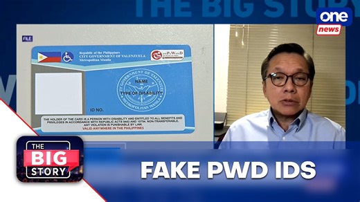 2.5K views · 16 reactions | Fake PWD IDs being sold online | The Big Story #TheBigStory | Resto PH President Emeritus Eric Teng said that more than half of the Persons with Disabilities (PWD) IDs presented in restaurants are fake. Citing Department of Social Welfare and Development (DSWD) reports, Teng noted that the actual PWD population in the country is significantly lower than the number of PWD IDs in circulation. | ONE News | Facebook