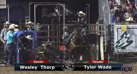 We just really love Utah rodeos. ||| Equinety | Trent Ward Saddlery | Big V Feeds Inc. | CSI Saddlepads | Classic Rope | Apex Boot Co | Wrangler Western | DRC Construction | RopeSmart | Resistol | Iconoclast Equine Support Boots | Caliber Equine, LLC | Athens Equine | Succeed Equine | Wesley Thorp Professional Team Roper | Platinum Trailers | Bish's RV | Rafter P Construction | Roofing and Restoration Services of America | | Tyler Wade Team Roping