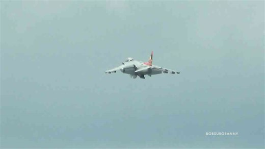 The harrier jet hover that left trees shaking below