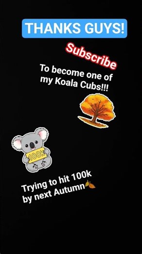 BE ONE OF MY KOALA CUBS!🐨 #subscribe