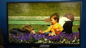 The relatively inexpensive 60-inch Sharp TV - Video