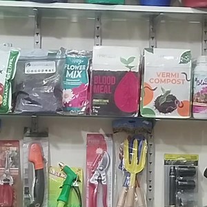 New Year Offer😍 30% Off on Products including Seeds, Pots, Gardening Tools and home Gardening Items Get Your Discount By Visiting Our Website | Green Galaxy