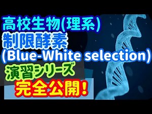 【高校生物演習 04】制限酵素（Blue-White selection）を宇宙一わかりやすく