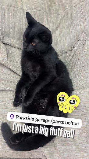 #parksidegaragebolton #bolton #cats_of_instagram #bcm #ecu #auto #carkeyprogramming #mercedesbenz #BMW #AUDI #electrical #seatbelt at Parkside garage Bolton we know how important it is to get your car back on the road. Give us a call on 01204370900 and see what we can save you today | ParkSide garage Bolton | Facebook