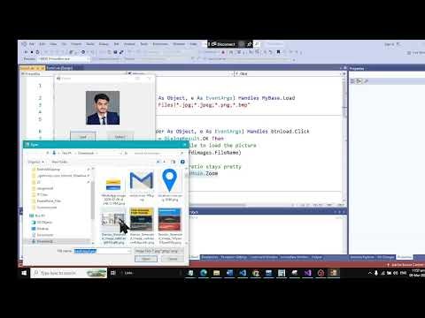 Picture Box Load and size Property in VB DOT NET