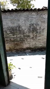 84 reactions · 19 comments | ESSA MANA NAO MUDA ...AINDA VEIO COM MALA | Tia Dos Memes | Facebook