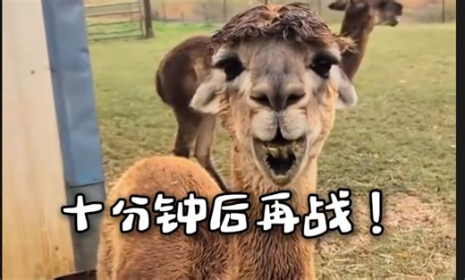 互喷口水的惨重代价