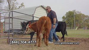 48K views · 170 reactions |...