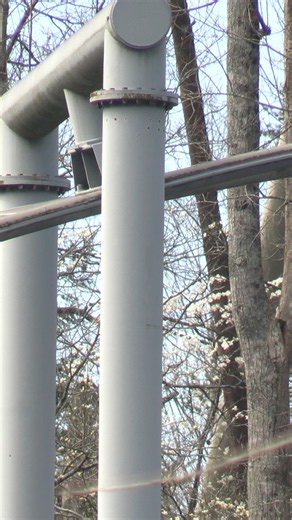 Why Dollywood Doesn't Feel Flat or Artificial. #ExperienceDesign #Engineering #Dollywood