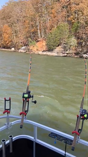 Donald Smith on Reels
