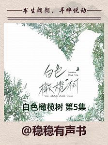 有声书《白色橄榄树》第5集