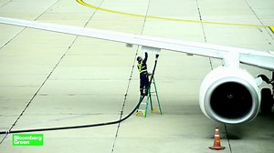 【科普】航空生物燃料拯救高污染的航空业吗？（中英）Could Jet Biofuel Save Air Travel