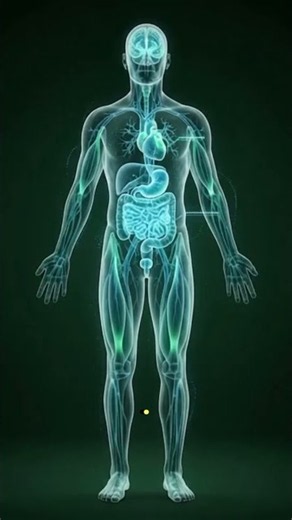 🥤 What REALLY happens inside your body when you drink soda water? 😳 #science #energy #hydration #H2O