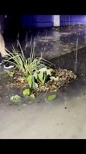 368K views · 5.6K reactions | Street Drain Trash Cleaning Method | Mr. Potato | Facebook