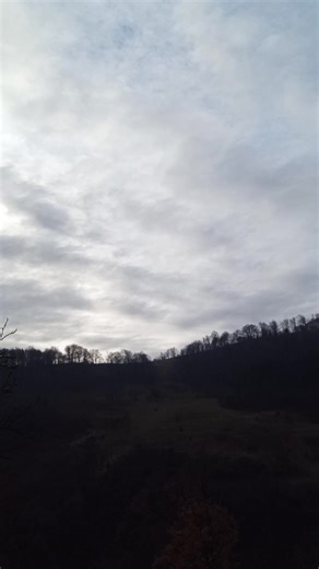 Omer Coloman on Reels