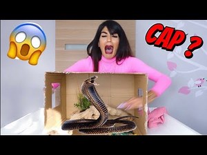 CAP OU PAS CAP ! SI TU RÉUSSIS JE T'OFFRE L'IPHONE 11 PRO !! - LAUREN CRUZ