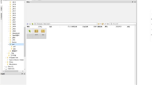 XnView加载JPG和AVIF速度比较