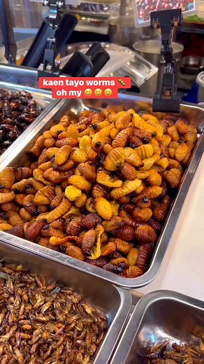 2.6K views · 16 reactions | Edible fried insect let's eat  Wala ng art arte try natin #friedinsects #bugs #thaifood #thailandstreetfood #FATMAGGOT #SOOKSIAM #bangkok #thailandtravel #wonderfulmemories #reelsvideoシ #eatinginsects | Undang Villa Rose Marilyn | Facebook